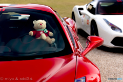 A bear in Ferrari 458 Speciale