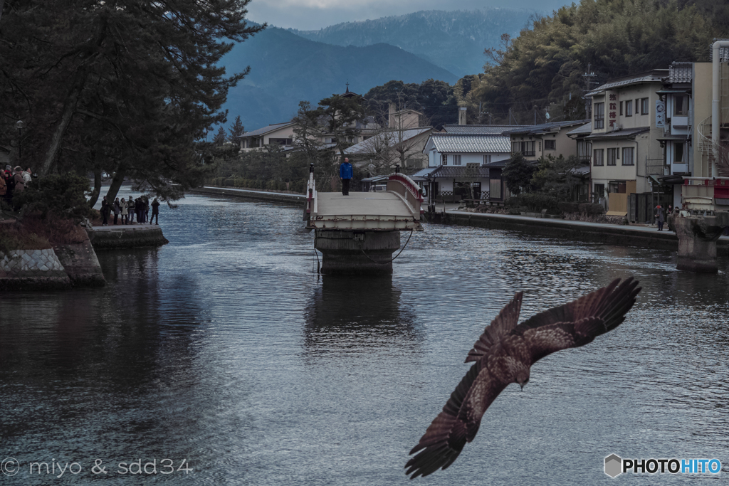 ♫おれは~ジ○イアン!..激唱中...トンビ気絶...