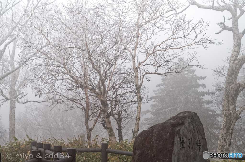 津別峠に雪が降る。