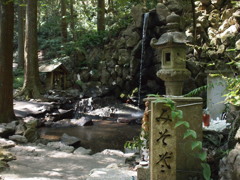 P8200804