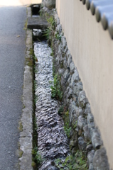 昔見た景色