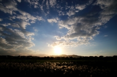 秋空
