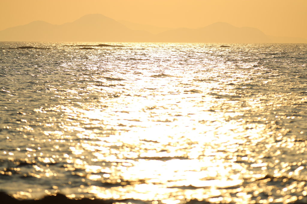 黄金の海