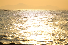 黄金の海