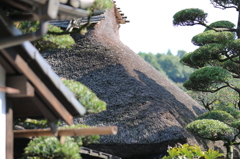 屋根