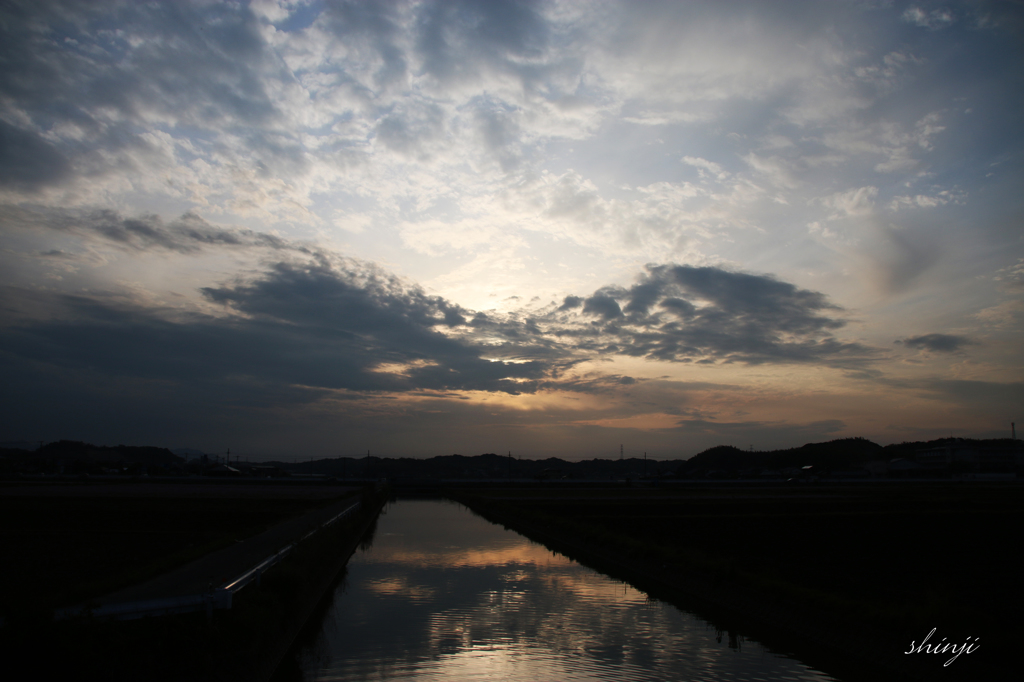 明日は雨予報