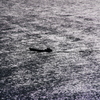 プラチナの海