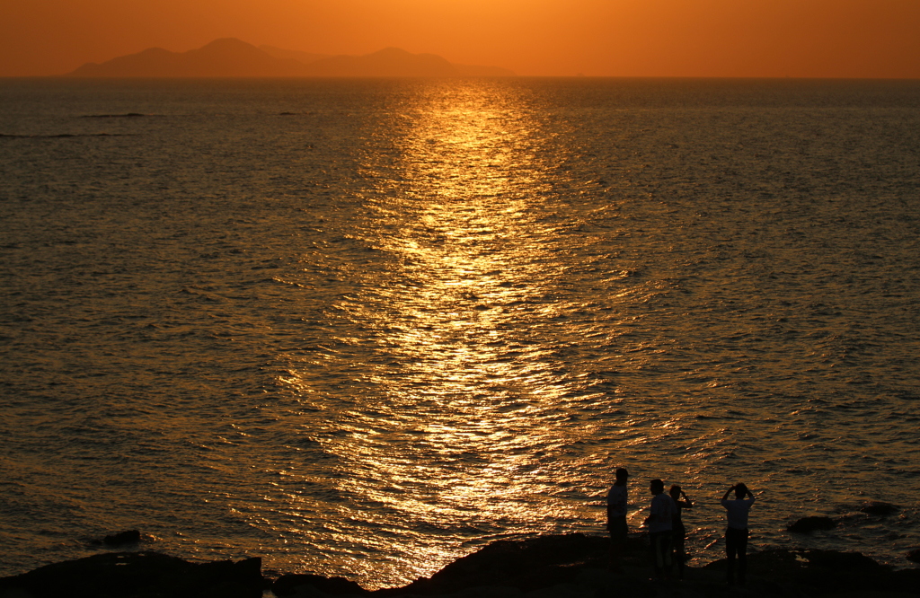 海