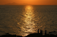 海
