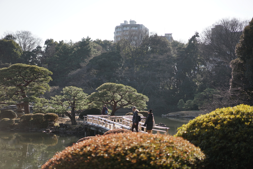 TOKYO DAYS 2017.1.28