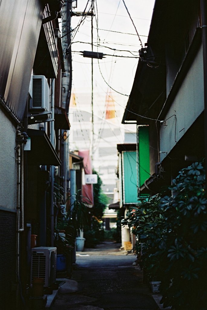 裏道