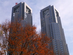 都庁