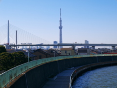 スカイツリー