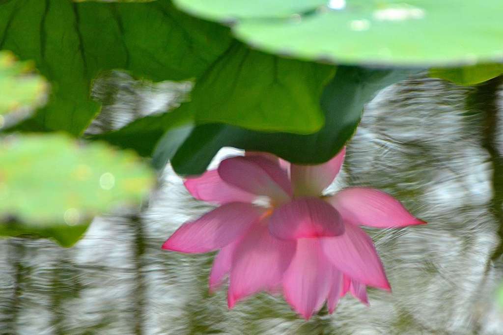 水鏡
