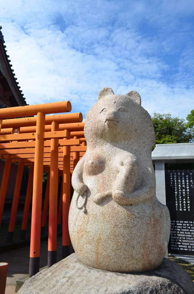 ママ狸＠蓑山大明神