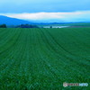 The Hokkaido