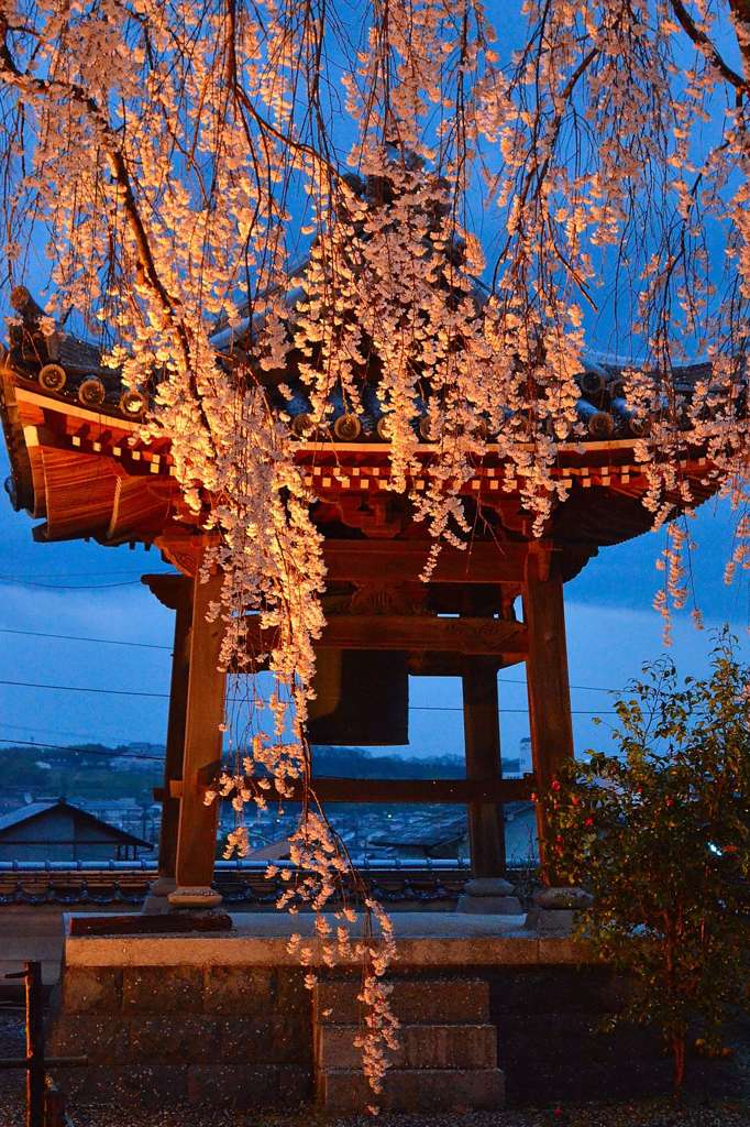 雨の千光寺