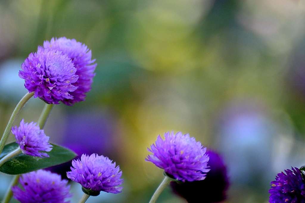 Coming of autumn