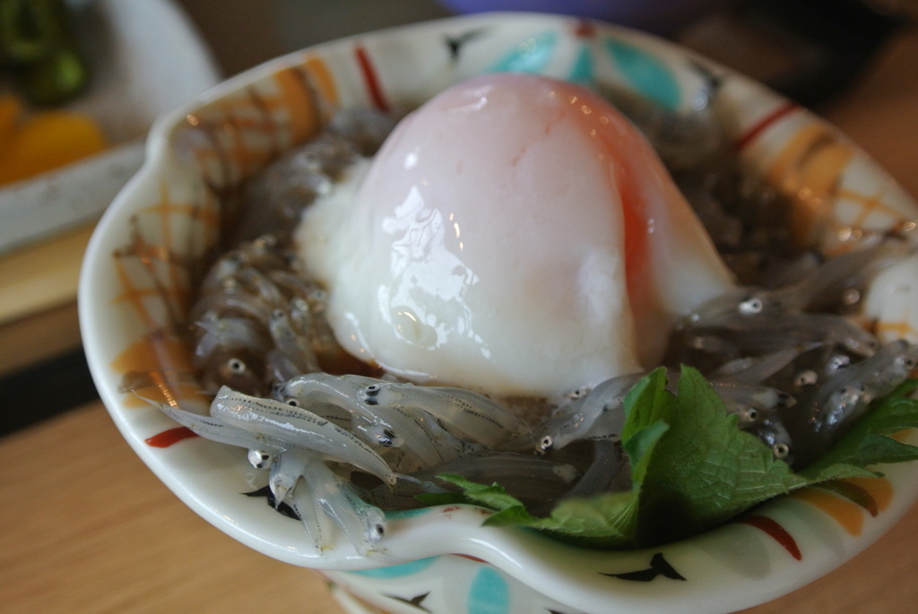 生シラス