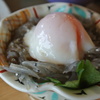 生シラス