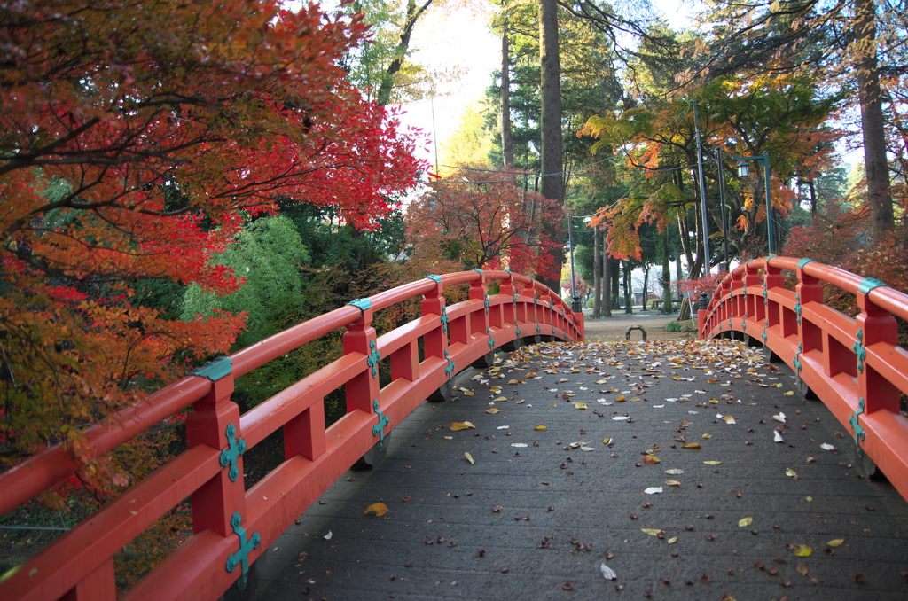 公園の橋