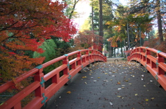 公園の橋
