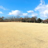 冬の公園と浮かぶ雲