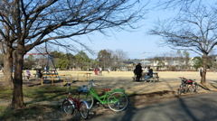 昼下がりの公園