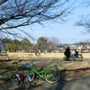 昼下がりの公園
