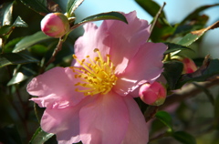 IMGP0007