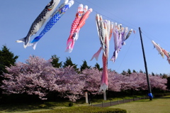 DSCF0022