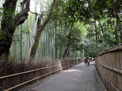 竹林