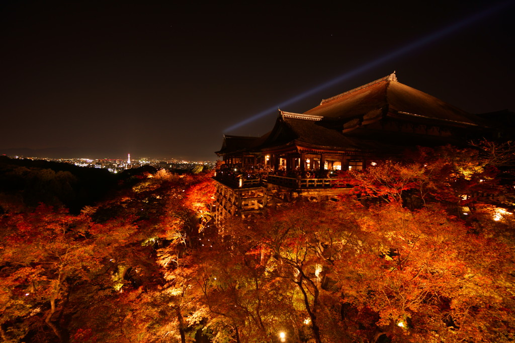 燃えるような紅葉の中で