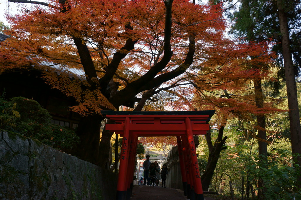 朝護孫子寺_4