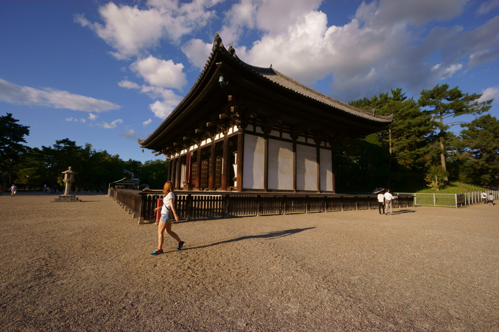 あっち向いて興福寺