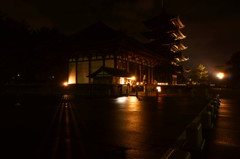 奈良夜景2