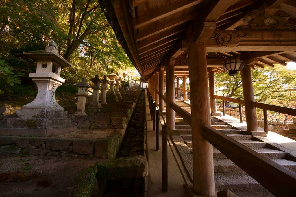 秋の長谷寺・登廊