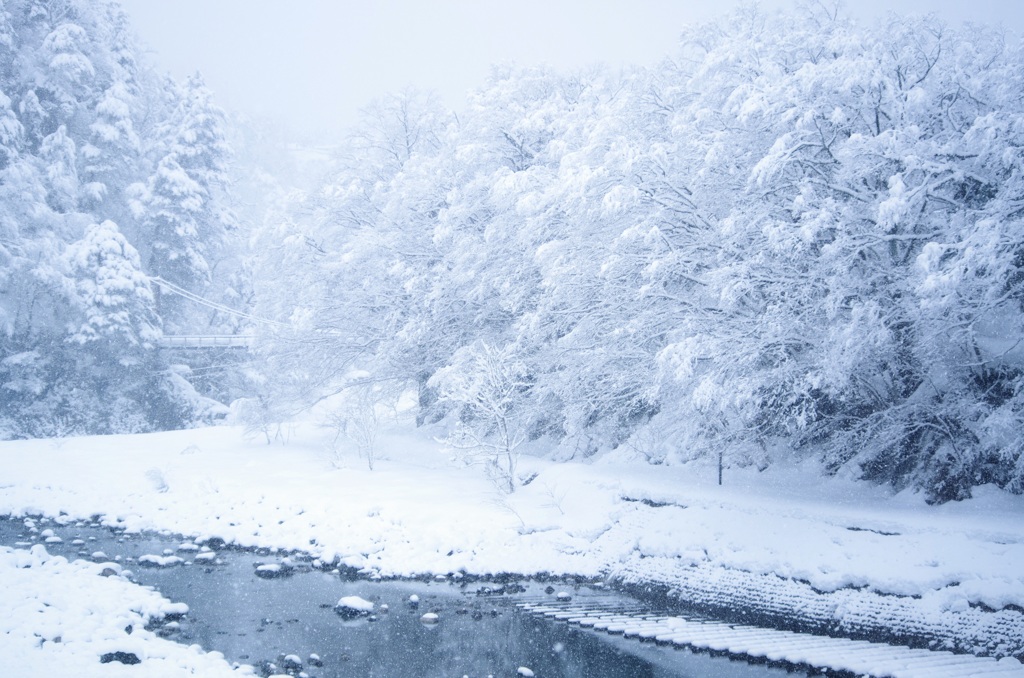 雪景色