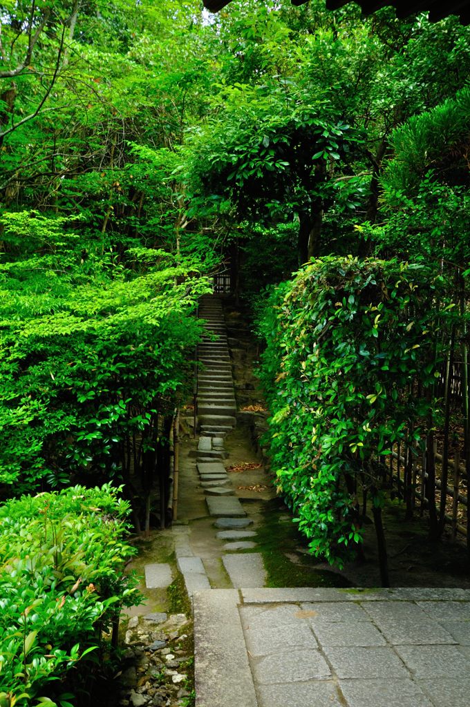 京都2014夏｜南禅寺塔頭金地院