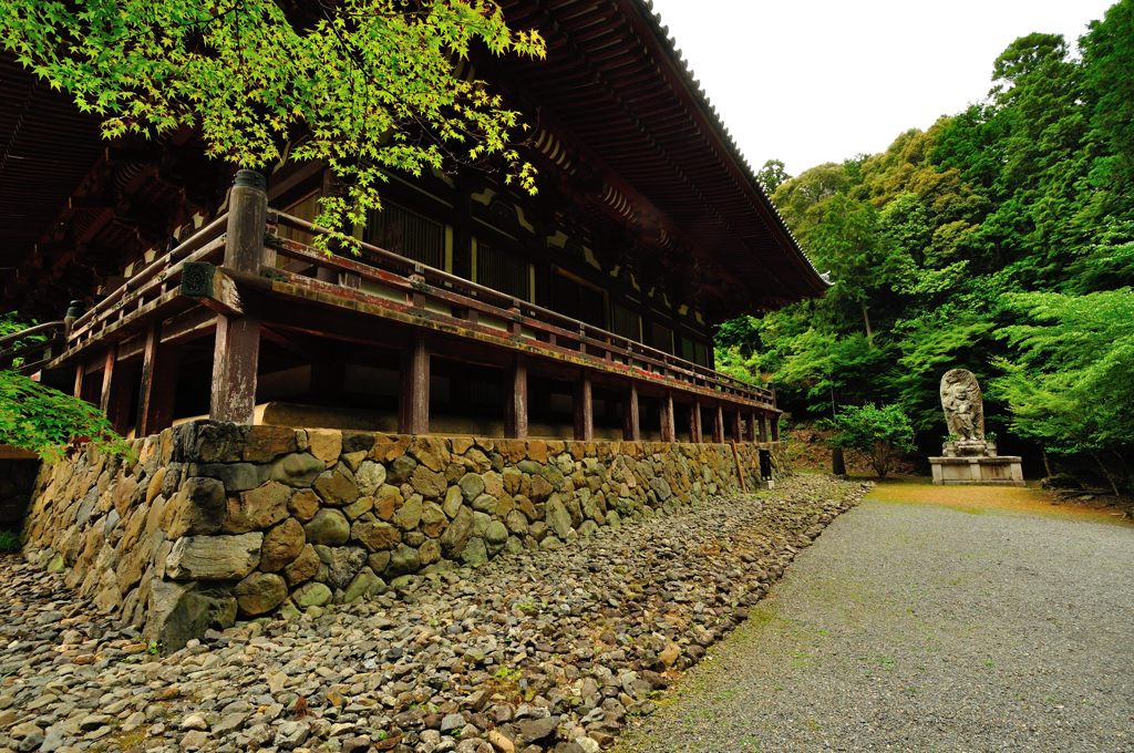 京都2014夏｜神護寺