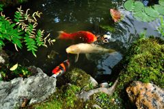 京都2014夏｜南禅寺塔頭金地院