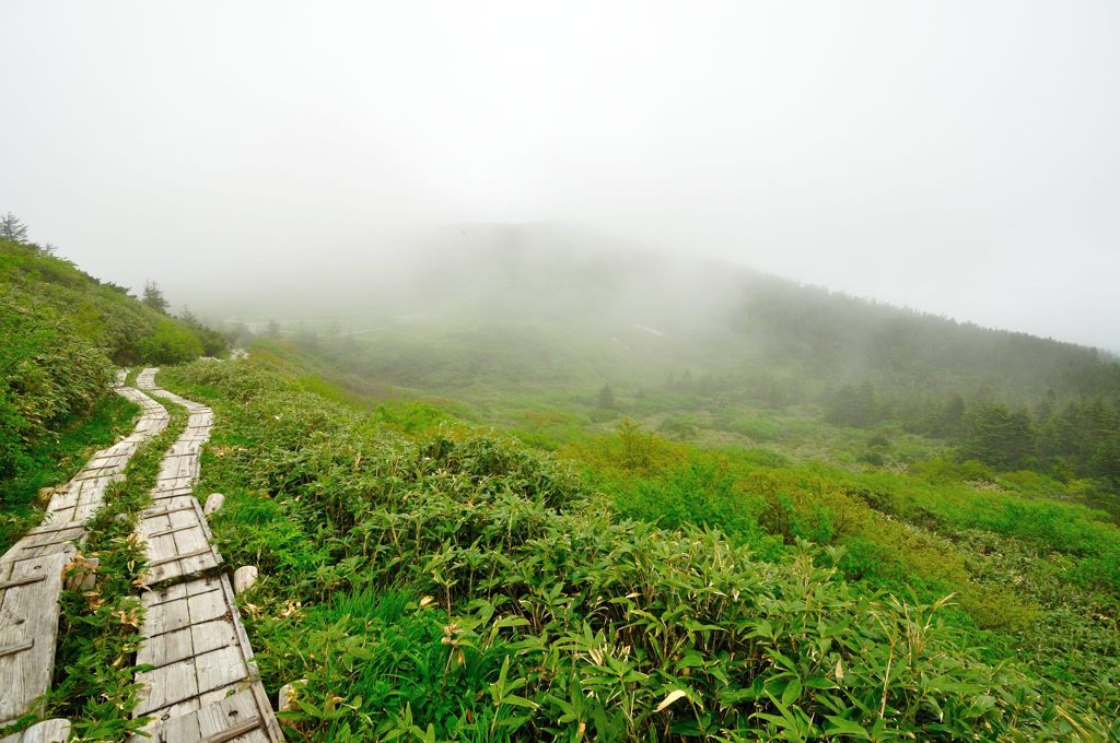 山形｜地蔵山登山道（復路）