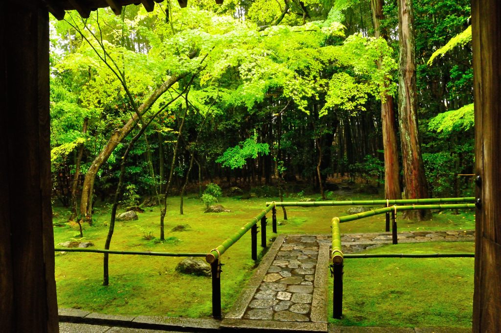 高桐院
