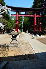 富士吉田｜北口本宮冨士浅間神社　鳥居