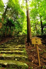 京都2014夏｜高山寺