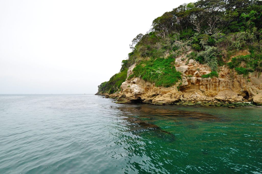 横須賀｜猿島