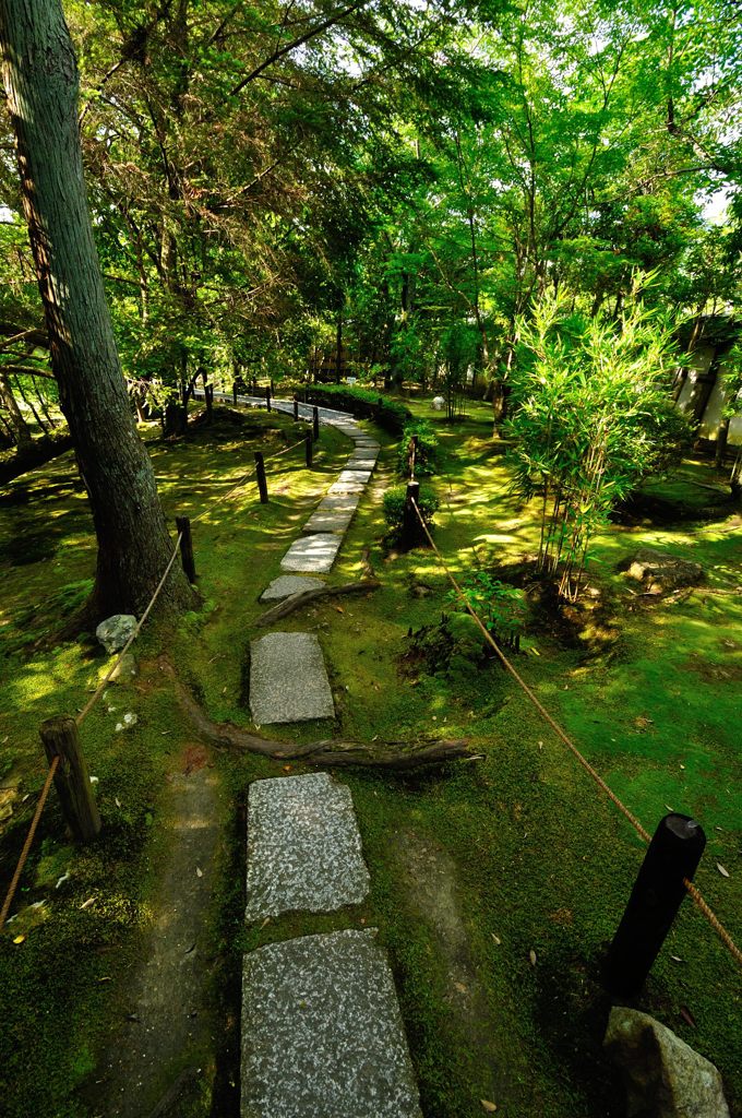 京都2014夏｜南禅寺塔頭金地院