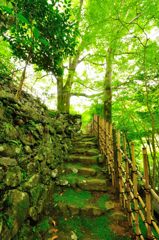 京都2014夏｜高山寺