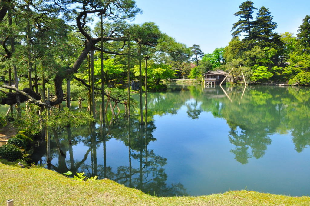 兼六園　池をのぞむ