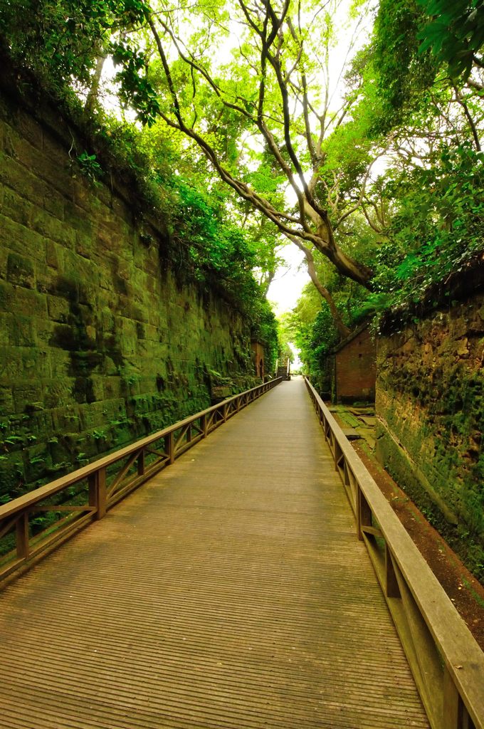 横須賀｜猿島
